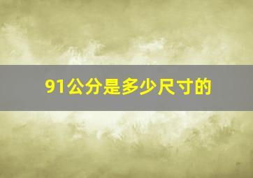 91公分是多少尺寸的