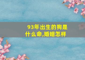 93年出生的狗是什么命,婚姻怎样