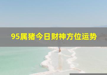 95属猪今日财神方位运势