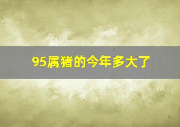 95属猪的今年多大了