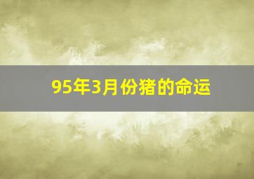 95年3月份猪的命运