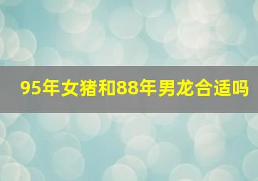 95年女猪和88年男龙合适吗