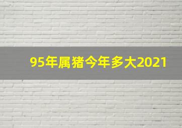 95年属猪今年多大2021