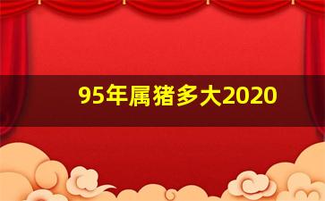 95年属猪多大2020