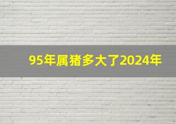 95年属猪多大了2024年