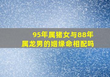 95年属猪女与88年属龙男的姻缘命相配吗