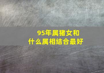 95年属猪女和什么属相结合最好