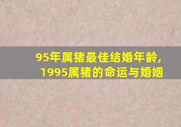 95年属猪最佳结婚年龄,1995属猪的命运与婚姻