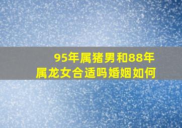 95年属猪男和88年属龙女合适吗婚姻如何