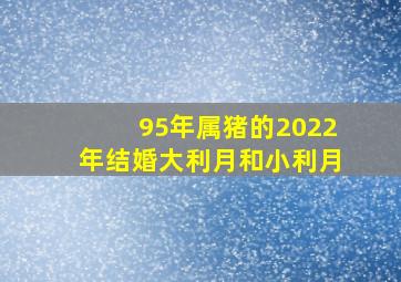 95年属猪的2022年结婚大利月和小利月