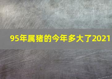 95年属猪的今年多大了2021