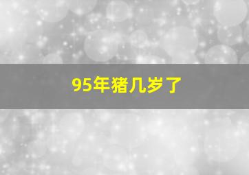 95年猪几岁了