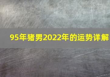 95年猪男2022年的运势详解