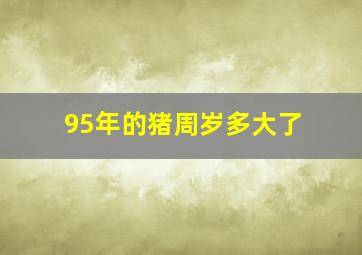 95年的猪周岁多大了