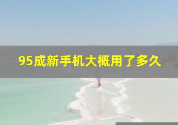 95成新手机大概用了多久