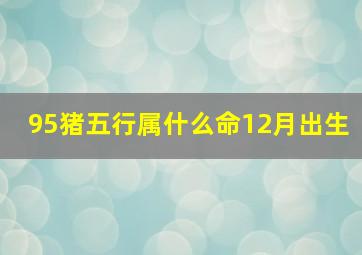 95猪五行属什么命12月出生