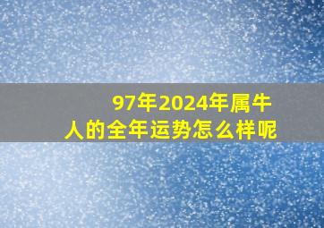 97年2024年属牛人的全年运势怎么样呢