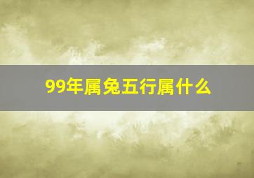 99年属兔五行属什么