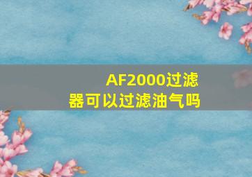 AF2000过滤器可以过滤油气吗