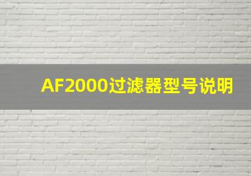 AF2000过滤器型号说明