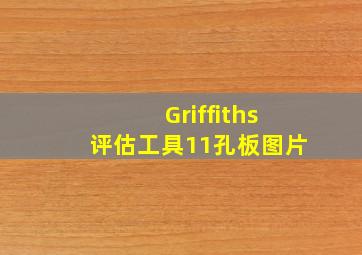 Griffiths评估工具11孔板图片