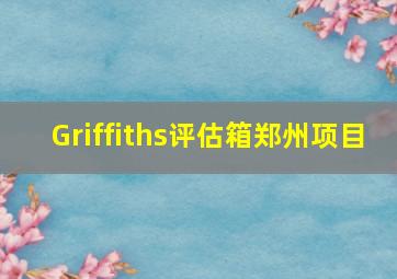 Griffiths评估箱郑州项目