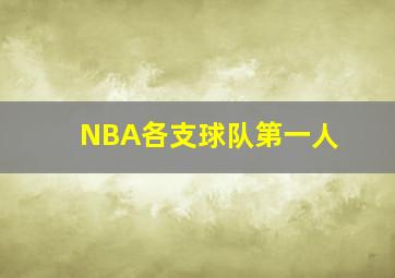 NBA各支球队第一人