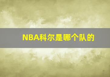 NBA科尔是哪个队的