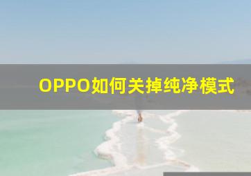 OPPO如何关掉纯净模式