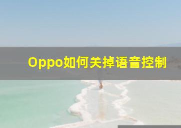 Oppo如何关掉语音控制