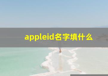 appleid名字填什么