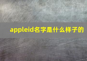 appleid名字是什么样子的