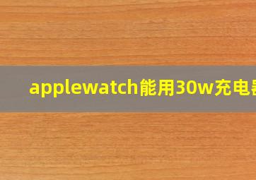 applewatch能用30w充电器吗