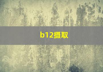 b12摄取