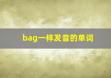 bag一样发音的单词