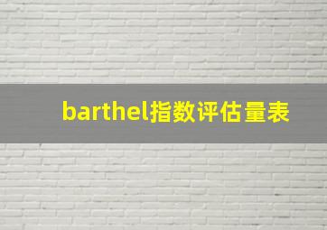 barthel指数评估量表