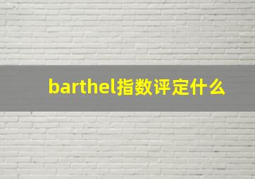 barthel指数评定什么