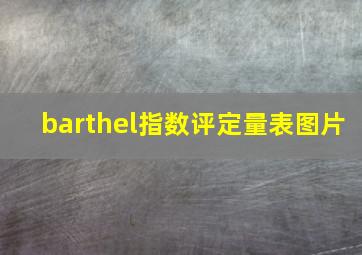 barthel指数评定量表图片