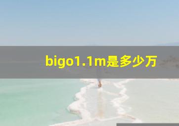 bigo1.1m是多少万