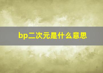 bp二次元是什么意思