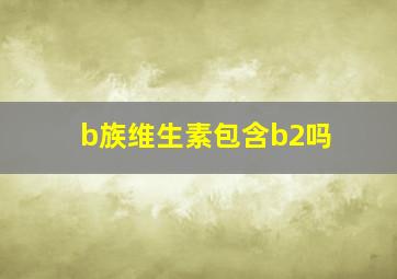 b族维生素包含b2吗