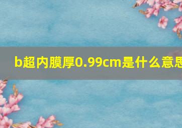 b超内膜厚0.99cm是什么意思