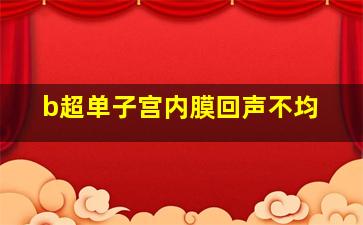 b超单子宫内膜回声不均