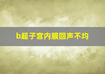 b超子宫内膜回声不均