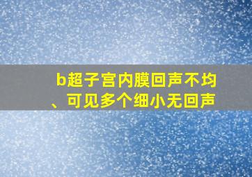 b超子宫内膜回声不均、可见多个细小无回声