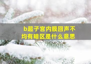 b超子宫内膜回声不均有暗区是什么意思