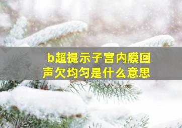 b超提示子宫内膜回声欠均匀是什么意思