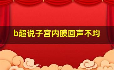 b超说子宫内膜回声不均