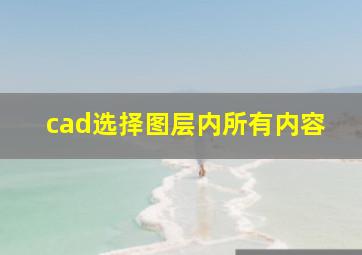 cad选择图层内所有内容