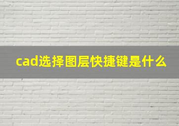 cad选择图层快捷键是什么